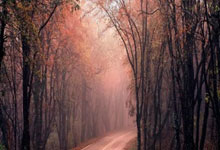 奇异果体育:197厘米,赫伊森成为西班牙队史上身高并列最高的国脚.