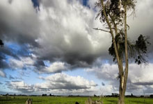 奇异果体育:197厘米,赫伊森成为西班牙队史上身高并列最高的国脚.